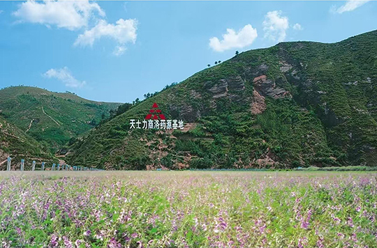 mansion88明升医药